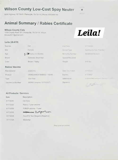 Leila, photo 2