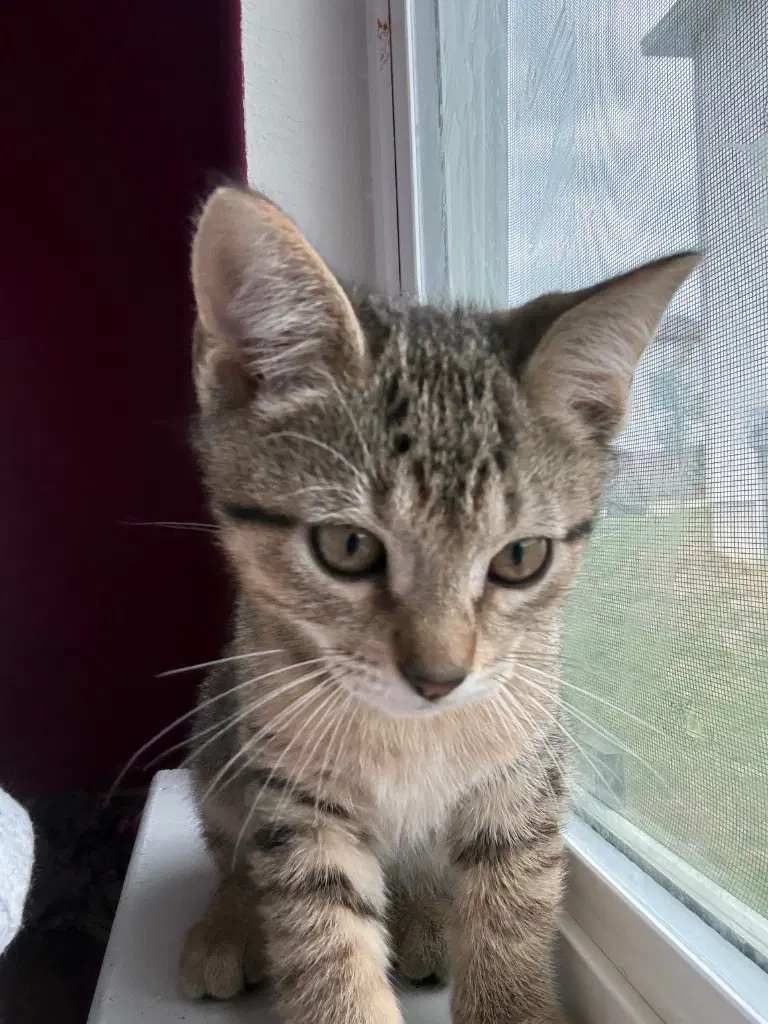 Riley image 3