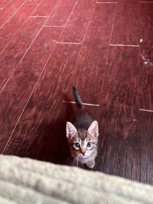 Baby, photo 3