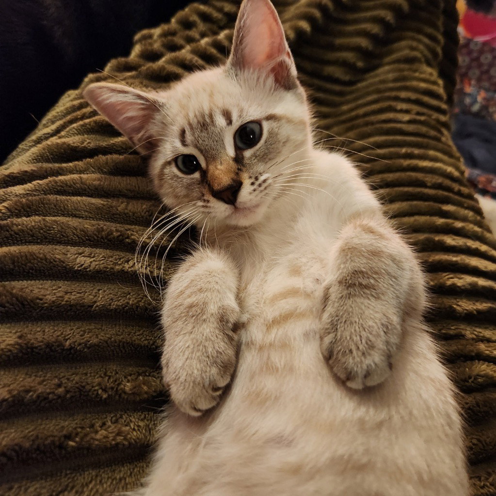 Casper, photo 4