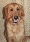 Lucy