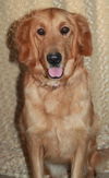 Lucy