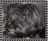 Maybelle