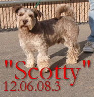 Scotty