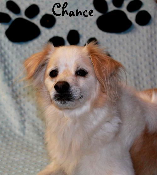 Chance