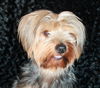 Charlie