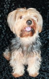 Charlie