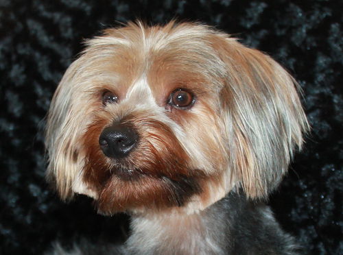 Charlie
