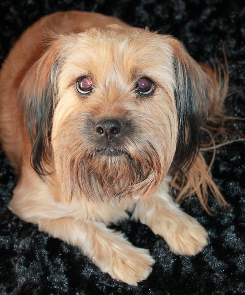 Bailey