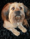 Bailey