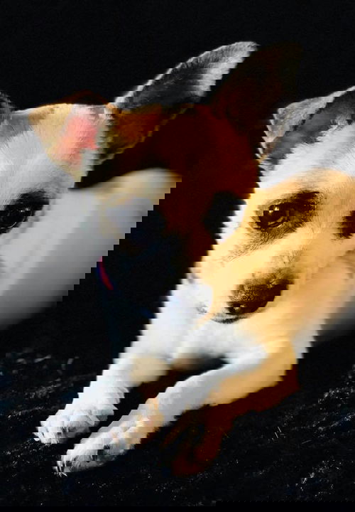 Jem