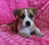 Roxy