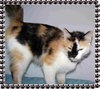Mia Pia