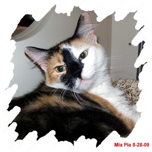 Mia Pia