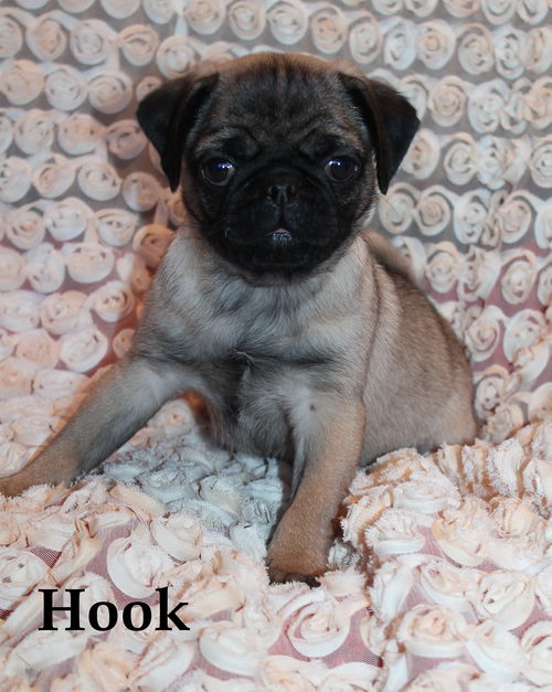 Hook