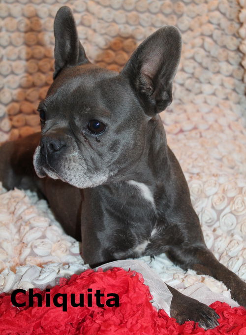 Chiquita