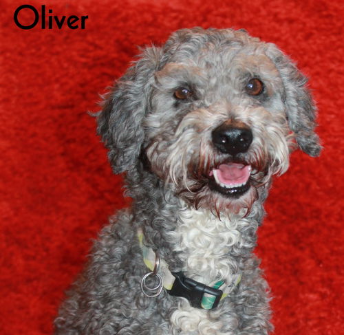 Oliver