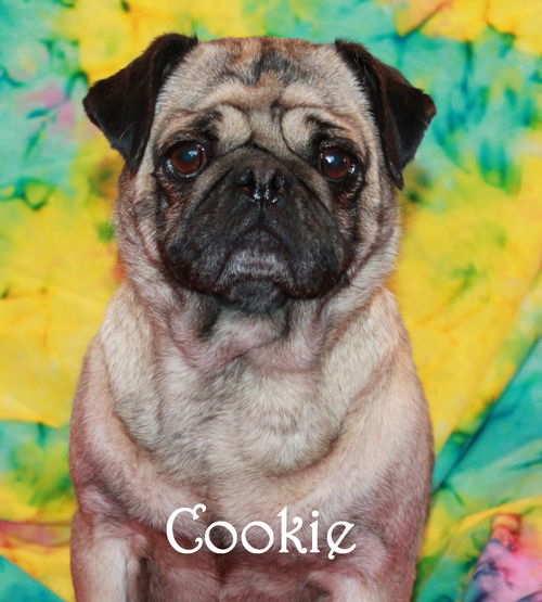 Cookie