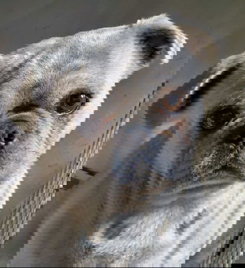 Casper
