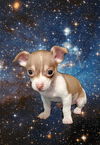 Scrappy-Doo