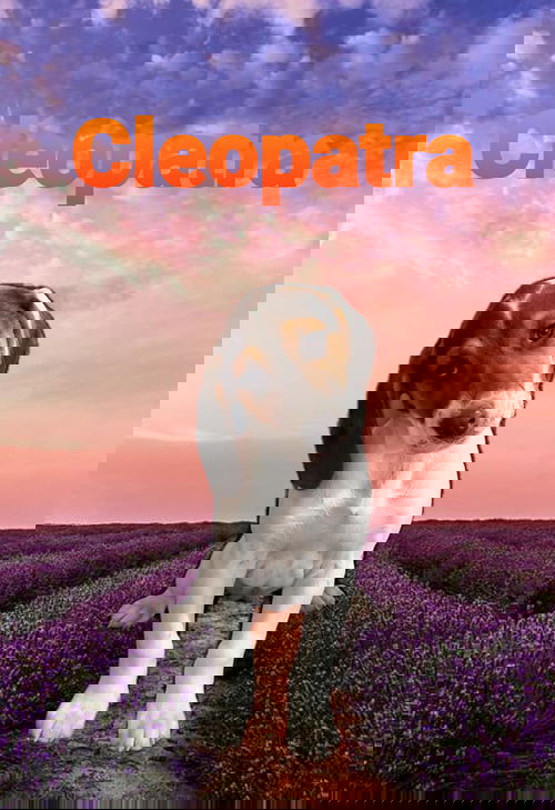 Cleopatra