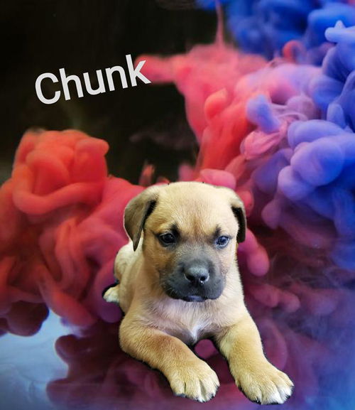 Chunk
