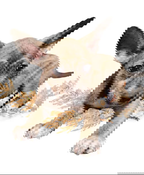 Em