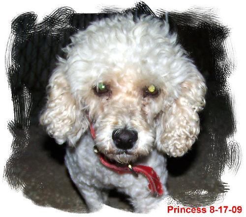 Princess