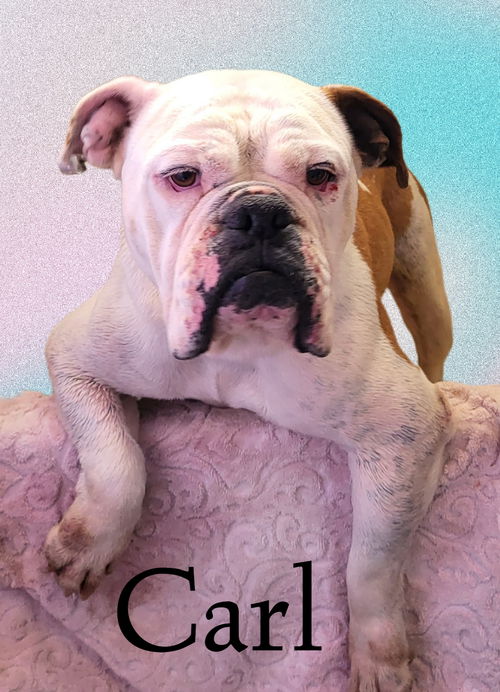 Carl