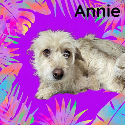Annie