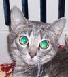 Roxy