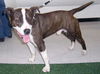 Rosco