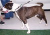 Rosco