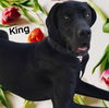 King
