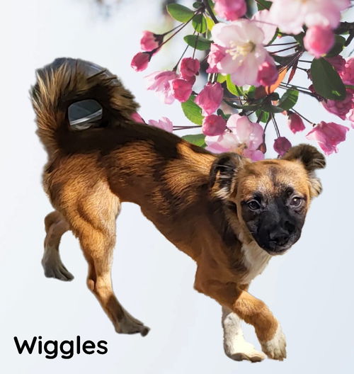Wiggles