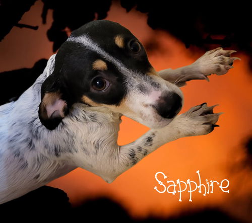 Sapphire