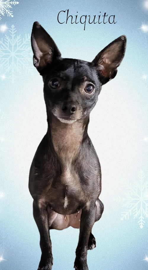 Chiquita