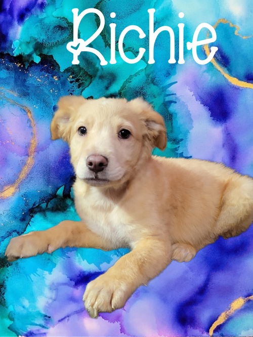 Ritchie