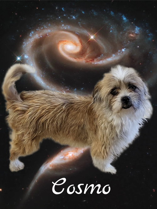 Cosmo