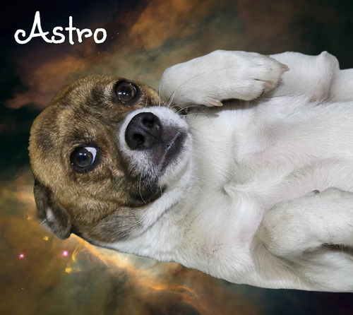 Astro