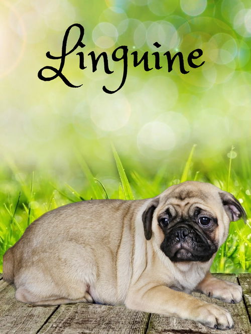 Linguine