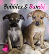 Bambi