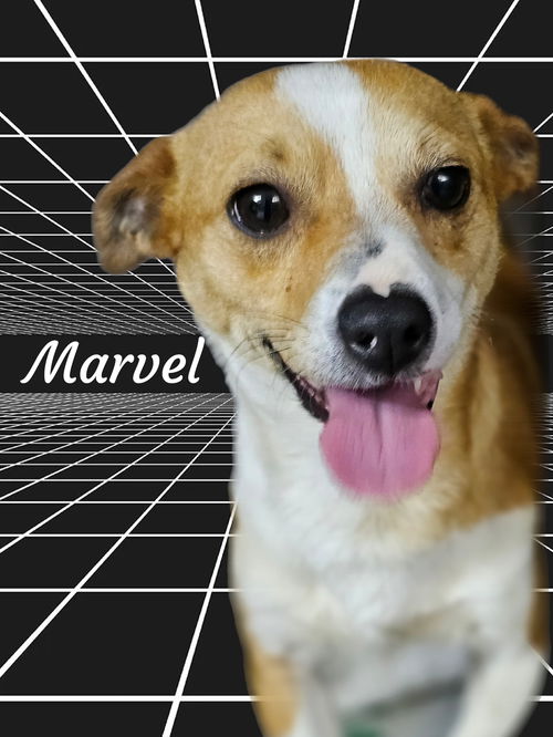 Marvel