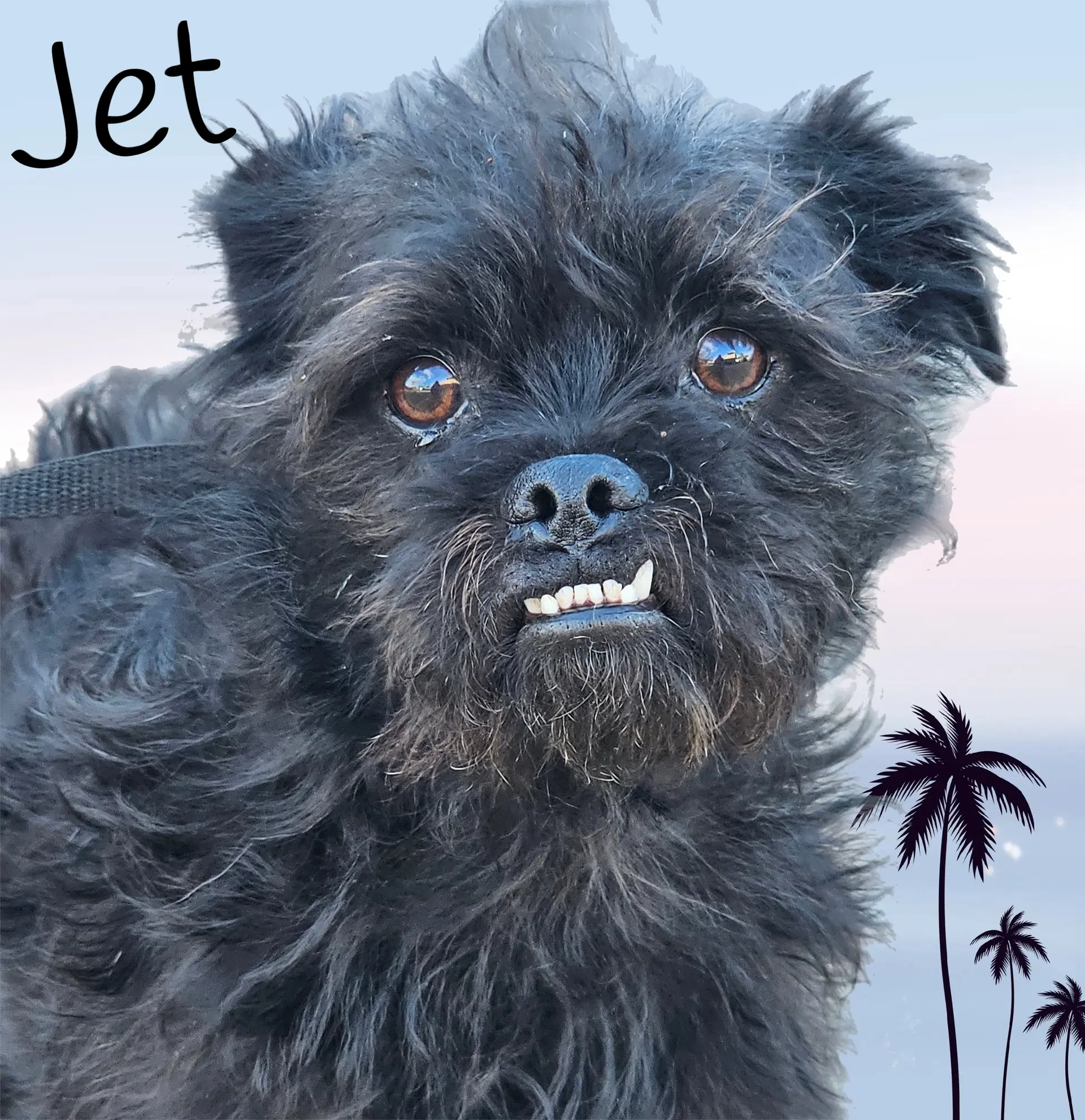Jet image 3