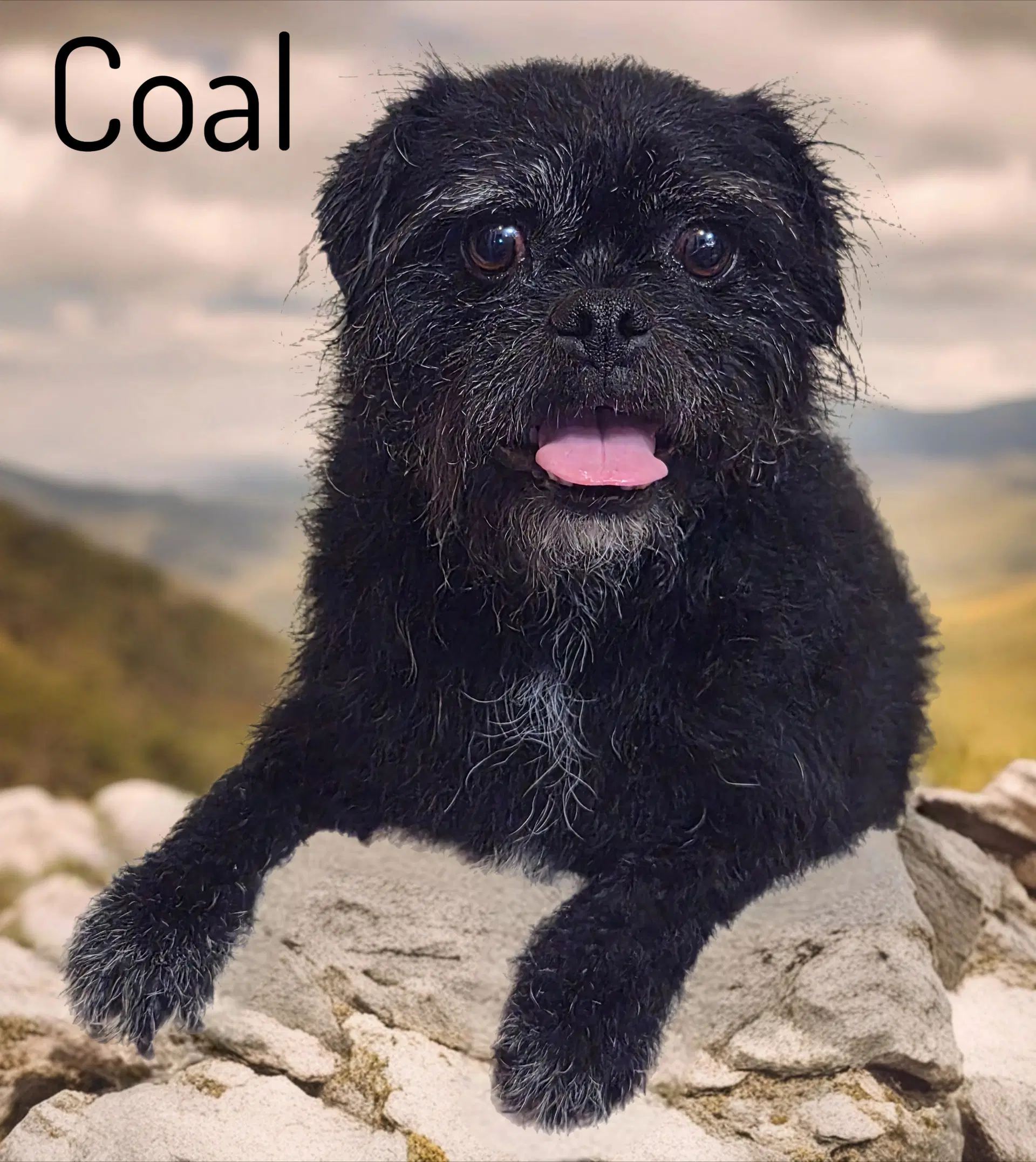 Coal image 2