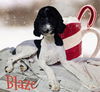 Blaze