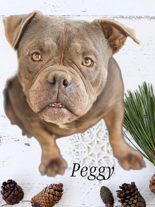 Peggy