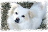 Casper