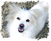 Casper