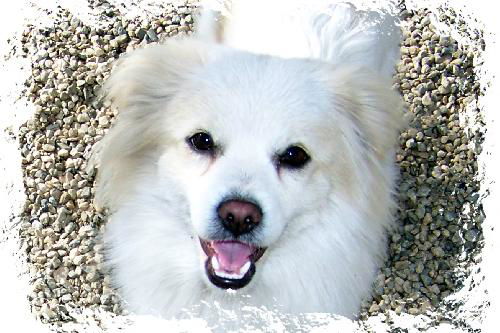 Casper